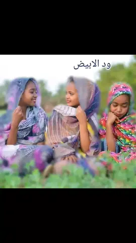 الشاعر أحمد ودالابيض #الكردافة #الابيض #الهجانه #ابحراز #ام_سياله #بارا #الدلنج #بابنوسه #النهود #kordovani #سودانيز_تيك_توك_مشاهير_السودان #sudanese_tiktok #sudani #كردفان #الغزال #الجافل 