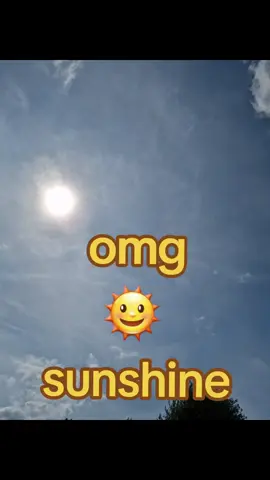 quick everyone the sunshine 🌞  is out. #sunshine #vintedseller #englishweather 