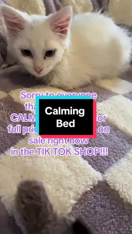 Calming Pet Beds, Fur Babies#lesure #lesurepet #TikTokShop #tiktokfinds #tiktokmademebuyit #PetsOfTikTok #catlovers #dealsforyou #dealsforyoudays @Lesure Pet 