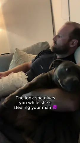 I guess we can share 😅#dog #dogs #puppy #staffy #dogsoftiktok #funnydog #nastygirl 