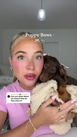 Replying to @Peeve🌺 will link in storefront under “puppy essentials”🎀🐶🤍🦢🕯️#puppytok #puppyaccessories #minidachshund #dachshund #dachshundsoftiktok #coquetteaesthetic #coquettedog #dachsundsoftiktok #newpuppy 