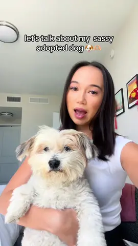 i wouldnt trade him for the WORLD😮‍💨😮‍💨 #sassymanapocalypse #dogmomstruggles 