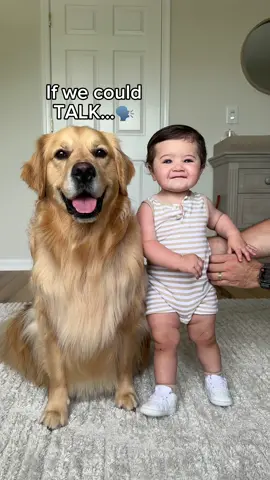 Episode 11 of “If they could talk” !🗣️🐾👶🏻 @Open Farm Pet #openfarmpartner #iftheycouldtalk #dogsoftiktok #baby 