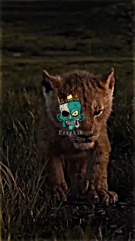 اغنيه انا ابويا قال لي تعيش اسد تسوق مملكه#فين_حق_الفيديو #🔱⛓️سلسله_صفحنا🌏💪🏻 #🔥D_e_e_p_h_x_30❄️ @👑زيزو_Z_E_Z_O🔱 @🔱فريق الابطال💪 @🌏thswound.💘 @🌋Y_K_R_T_X_40🌪 @🔥Design legend👑 @👑حكم في الحياه اليوميه💡 