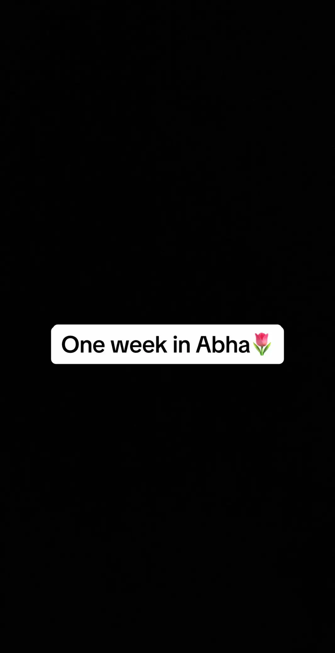 #ابها #عسير #اكسبلور #الورود🌸 #لايك #السعودية🇸🇦 