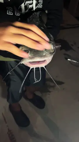 #CapCut #fishing #fyp #xybca 