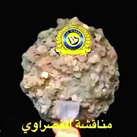 المشجع النصراوي 😂 #النصراوي #النصر #طقطقه #foryou #viral #اكسبلور #fypシ #foryoupage 