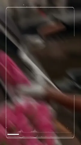 #CapCut 🌺🌺🌺