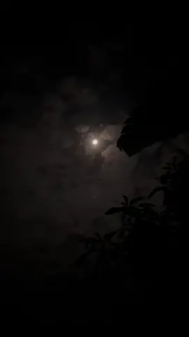 #moon #cardigan #sadvibesmalam #malam #fypシ゚viral #fyp 