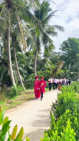 Đường về hai thôn..#đamcuoi #damcuoibentre #đamcuoimientay #canhdepmientay 