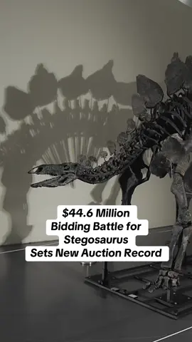 POV: You’re in the room when a new record is set for the most valuable fossil ever sold at auction. The stegosaurus known as “Apex” made history today selling for $44.6 million at Sotheby’s New York after a riveting bidding battle during the Natural History sale.  Watch the full video on Sotheby’s YouTube. #Stegosaurus #NaturalHistory #AuctionRecord #auction #fossil #dinosaur 