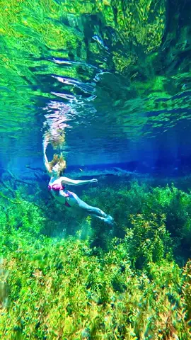 Watercolor 🩵💚 📷: @mlugosi #underwater #freediver #freediving 