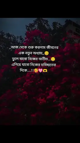 ইনশাআল্লাহ,,,🥰 #tiktok #bdtiktokofficial🇧🇩 #viral #trending #trend #Foryuo #foryoupage #@FORYOU ✨❤️ نعره حيدري #foryou @Trending Tiktoks @Trending @TikTokCreators_ID 