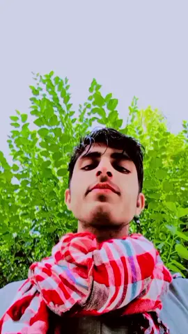 ma gelamnn gelamnn pre da#CapCut #ceEffects #Voi @🎶𝐓𝐚𝐧𝐡𝐚ٹائپسٹ🎶 @majeed ullah 217 @👸🏻༆❣︎🅝🅐🅐🅩🅞❣︎༆👸🏻 @👑NoorwahabANP 👑 @gilamanwazir11 