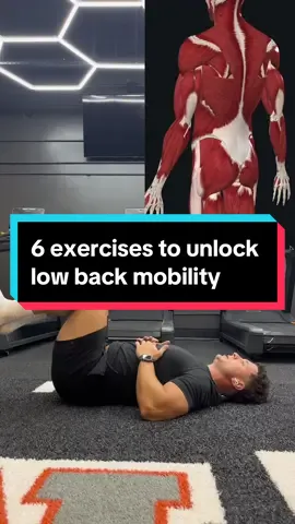 If you do a lot of sitting and feel like you have a stiff low back here are 6 SIMPLE exercises you can do from a physio student to help unlock that stiffness #lowbackpain #lowbackstiffness #lowbackmobility #mobility #mobilityexercise #physiotherapy #physicaltherapy #physio #physiostudent #fyp #viral #foryoupage 