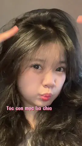 êii  bácc nào hỏi dưỡng dì thì dô đây coi coiii #xuhuong #duongtoc 