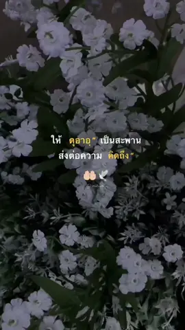 #เทรนด์วันนี้อันดับ1 #สตอรี่ความรู้สึก💌🌻🌻 #เอาขึ้นฟีดที #เปิดการมองเห็นเถอะ #เธรดศาสนาอิสลาม🤍💐 #เตือนซึ่งกันและกัน🤍❤️ #คนในดูอาร์ #มอบหมายต่ออัลลอฮดีทีสุด🤲❤️☝️ #ซูโกร___ขอบคุณอัลลอฮ์มากๆ🤲😊❣️ #fypシ 