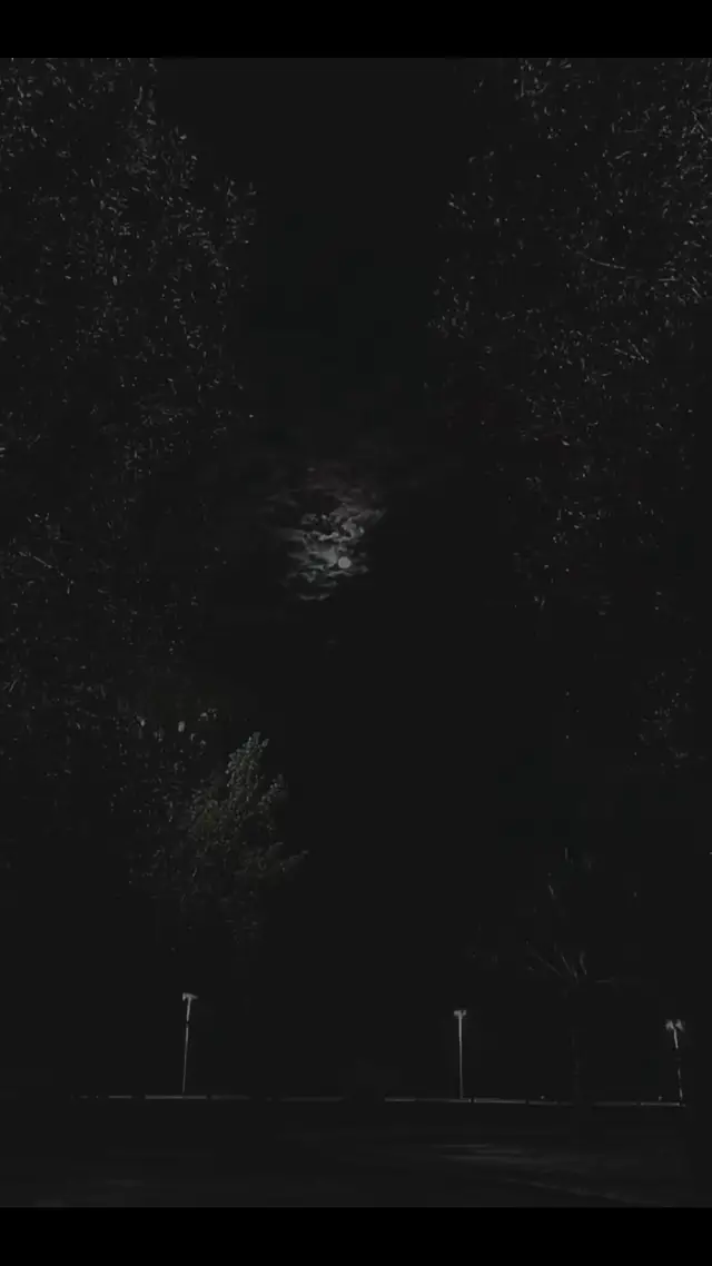 لحظة يا بقايا الليل لحظة🎼#الاردن_عمان #رزونة❤️🌸 #بنت_أبوها 