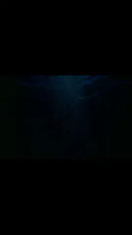 Cool underWater Background with Music 🎶  Subscribe My Channel also in Bio  #underwater #underwaterworld #underwatertiktok #underwaterphotography #backgroundvideo #backgroundmusic #backgroundsound #blue #aqua #hydra #livewallpaper4k #animation #motion #motiongraphics #motionart #viral #foryou #nocopyright #free #friends #followers #following 