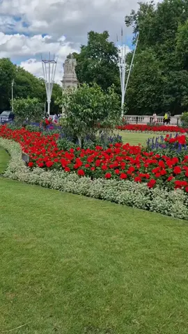 #اللّٰہ تعالیٰ ہمیں ہر اس چیز سے نوازے جس میں خیرو برکت اور سکون ہو آمین 🤲🏻