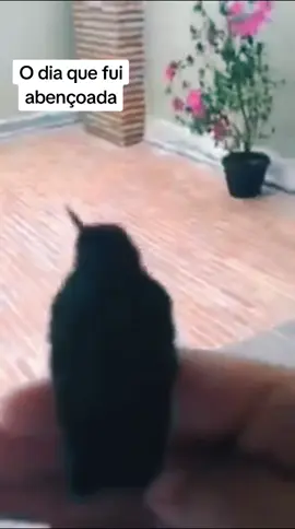 Eu tive esse privilégio 💜 levo comigo como um presente de Deus ..coisas boas acontecem !! #beijaflores 