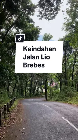 Keindahan Jalan tanjakan Lio. Kapan nih kamu kesini ? #brebes #gunungliobrebes #gununglio #explorebrebes #banjarharjo #salembrebes #salem #explorebrebes #wisatabrebes #jalanlio #anandjazuli 