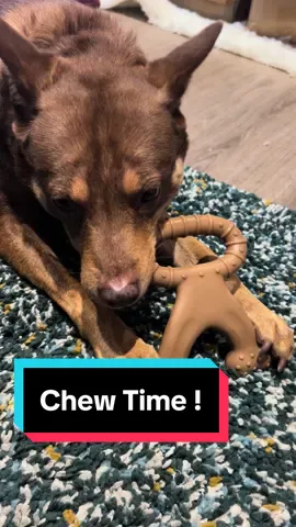 Great price, great for teeth cleaning and the kids love it .. whats not to love! Note - i usually only let them chew in small bursts and once they  wear down i replace . #viraldogtoy #dogtok #tiktokmademebuyit #dogsoftiktok #happydog #dogtoy 