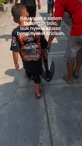 ngenes bolo #ayambangkokindinesia #ayamjenisindonesia #viral #fypシ゚viral #ayambangkokjawatimur #ayamjombang #kandangpjk 