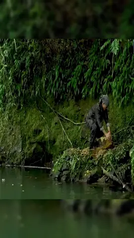 Build a shelter by the river and camp overnight #bushcraft #build #camp #camping #survival #shelter #wildlife #Outdoors #outdoor #viral#foryou