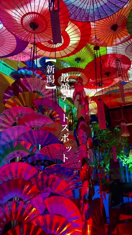 五泉八幡宮のライトアップが美しすぎる🪭🪭 #新潟#五泉八幡宮 