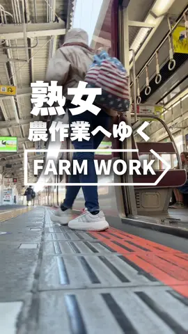 自然農法 知ってる人いるかなぁ @ゆかり先生❤️ @踊るおじさん #代掻き #自然農法 #熟女 #挑戦してみた #ドキュメンタリー 