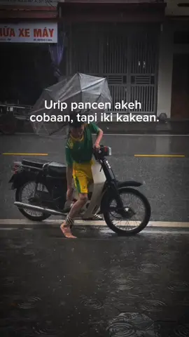 iki kakean gusti #berandatiktok #jogja24jam #jawapride #jawastory #fypシ゚viral #fypシ゚ 