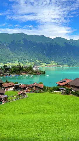 📍 Iseltwald, Switzerland 🇨🇭  Follow me for daily Swiss Content 🇨🇭 📌 Don’t forget to send this to your friends for your next trip to Switzerland. 🎥 by @swissmici  #iseltwald #iseltwaldswitzerland berneroberland #switzerland #mountains #schweiz #swissalps #myswitzerland #nature #reelsinstagram #Hiking #swiss #instatravel #wanderlust #visitswitzerland #travel #jungfrauregion #suisse #landscape #reels #switzerland # #naturephotography #relaxing #grindelwald #lauterbrunnen #interlaken #lake #switzerlandpictures #swissmountains #switzerlandwonderland #switzerland_vacations 