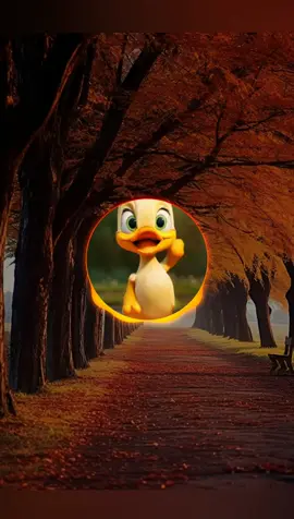 Duck Dance #duck #bebek #nadaderingwhatssapp #febringtone #ducks #ringtone 