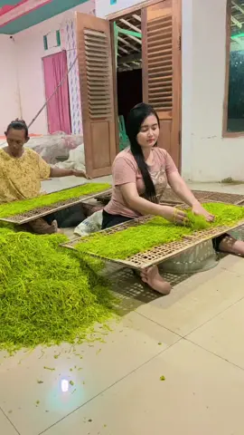 Tembakau lgi naik daun #fyppppppppppppp