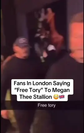 DAMNN#fyp#megantheestallion#torylanez#rap#hiphop 