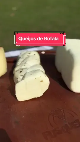 Confira no vídeo 3 tipos incríveis de queijo de búfala que você precisa experimentar! 🧀✨ #Fusqueijão