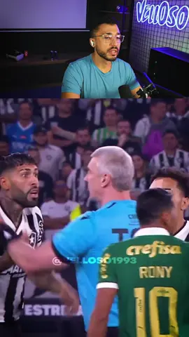 Falas de Botafogo 1x0 Palmeiras 😶 . . . #futebol #palmeiras #botafogo #brasileirao #futebolbrasileiro #dublagem #leituralabial 