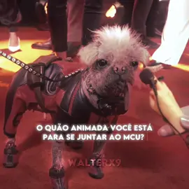 Ela é o momento! | #dogpool #dog #deadpool #deadpool3 #deadpoolandwolverine #ryanreynolds #hughjackman  #peggy #mcu #marvel #2024 #foryou #viral #vaiprofycaramba 