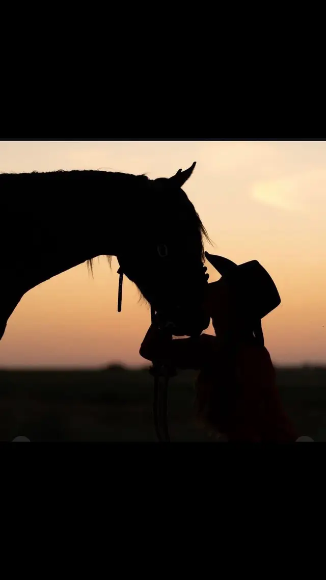 #reinalucero #hermosotema #llanera #llanerita #llaneradecorazon #llanerosporelmundo 