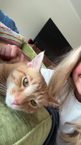 House content incoming!!!