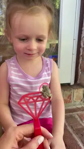 Safe to say my niece will probably never touch a frog again in her life 😂#frog #jumpscare #niece #scared #traumatized 