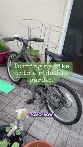 Turning my bike into a rideable garden🚲🌱 #chia #bike #howtowithjessie 
