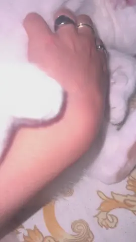 Ti amo Kom❤️ tienimi per sempre ❤️ mi salvi sempre spero di cambiare con tanto amore ❤️ #kom #mio #gatto #cat #gattone #amoremio #amore #viral #virale #neiperte #neipertee #coccole #videoviral #redcat #miao 