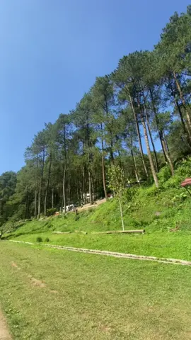 mencintai seseorang yang tidak mencintai balik, ibarat nya itu seperti memeluk kaktus semakin erat pelukannya semakin sakit rasanya.  #BERG #BERGPUNTANG #gunungpuntang #tempatngopibandung #storywa #healing #sadstory #sadsong 