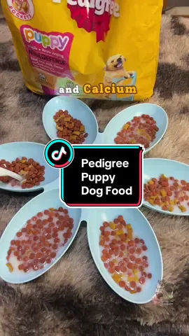 Pedigree NutriDefense Puppy Dog food ✨ #pedigree #puppyfood #dogfood #pedigreedogfood #dogtreats #pettreats 