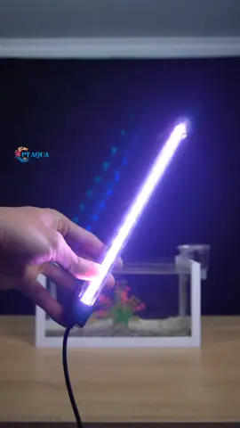Chỉ từ 79k có đèn chìm chống nước giúp lên màu cá cảnh: cá vàng , cá ba đuôi , cá la hán,... Chọn kích thước đặt hàng ngay nhé cả nhà ❤️ #cacanh #đènled 