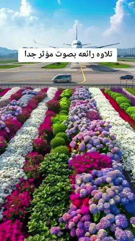 ماتيسر من الذكر الحكيم  بصوت مؤثر جدا  قراءة وتلاوة الشيخ عبد الباسط عبد الصمد رحمه الله تعالى  #قران_كريم #6quran #القران_الكريم_راحه_نفسية😍🕋 #quranpaktilawat #quran  @TilawatQuranpak06 @قرآن @حياة @قران / Quran 