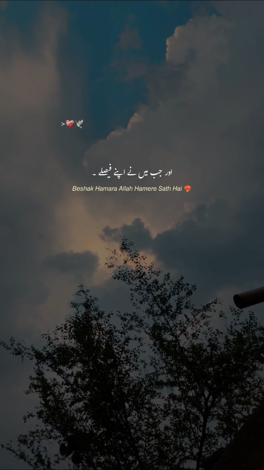 𝘑𝘶𝘮𝘮𝘢𝘩 𝘔𝘶𝘣𝘢𝘳𝘢𝘬 𝘌𝘷𝘦𝘳𝘺𝘖𝘯𝘦 ❤️‍🩹🥀🔥.  #hehe_afridy #foryoupageofficiall 