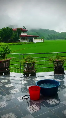 Trả tiền em mấy anh ơi😭#xuhuong #tiktok #fyb #xediendo #xediendotrungquoc #xediendovietnam #xedovietnam 